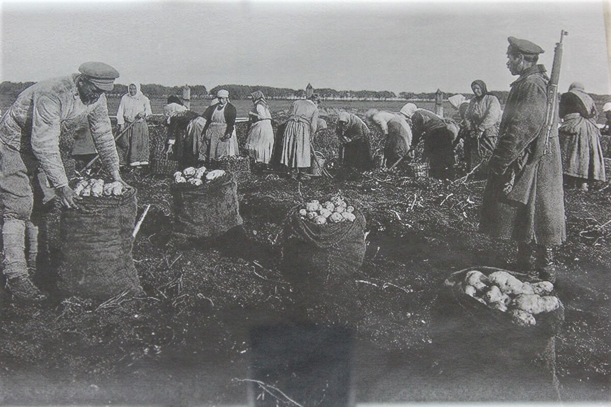 Крестьянское восстание 1919