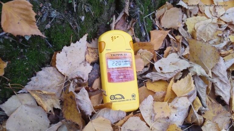 Радиация в Коломенском на месте бывших очистных сооружений Завода полиметаллов. 2018 октябрь, Москва. Скриншот видеозаписи с YouTube-канала Nikolay Onishchenko. Фото: YouTube.