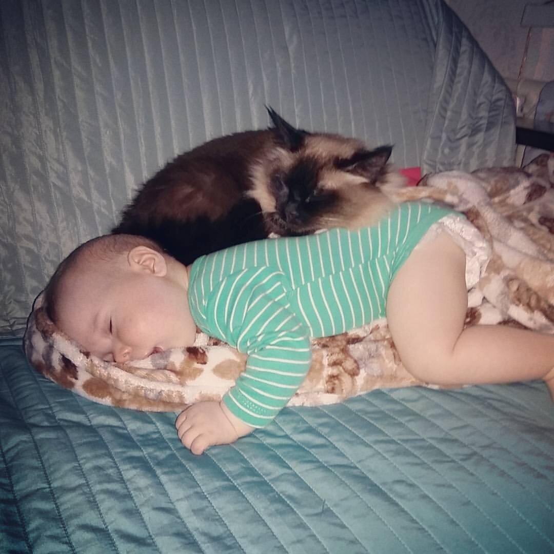 Кошка спит на ребенке 