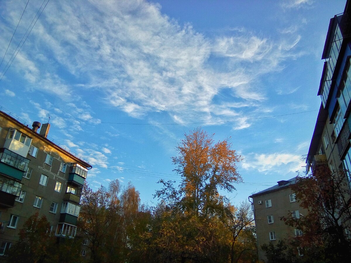 Снимок из моего архива. 