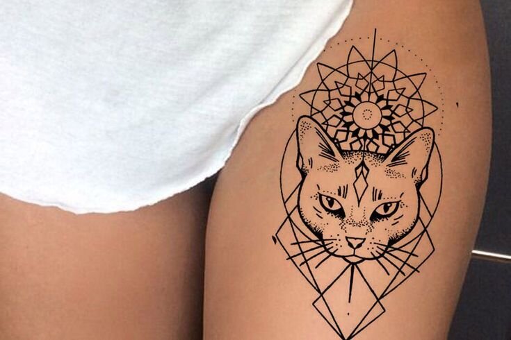 Фото взято из открытых источников.