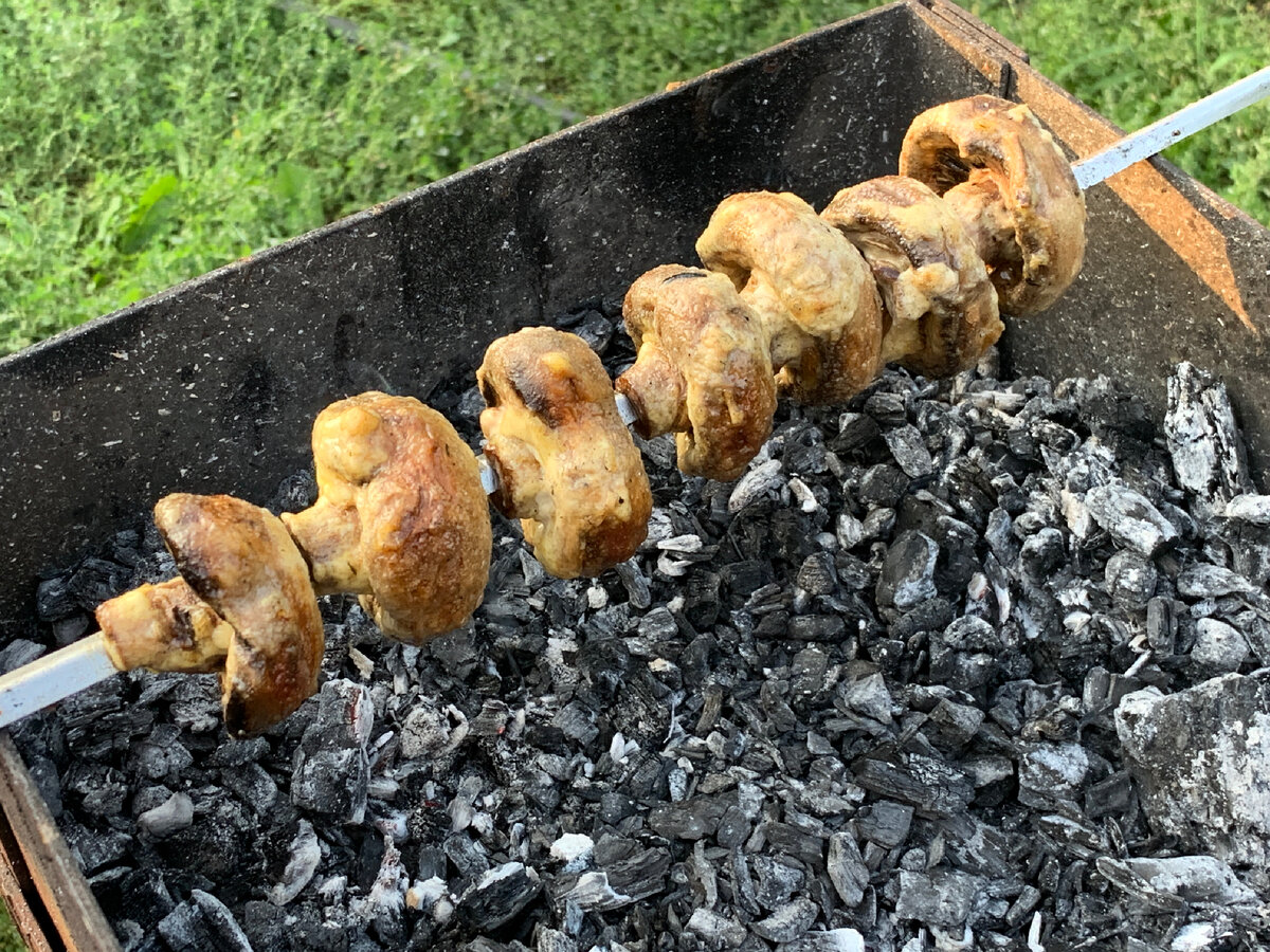Шашлык из грибов в майонезе с чесноком. Рецепт с фото