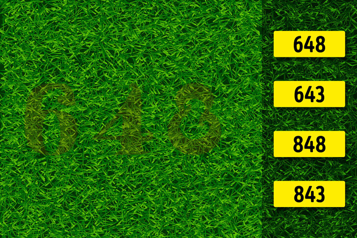 Все изображения взяты с сайта https://brightside.me