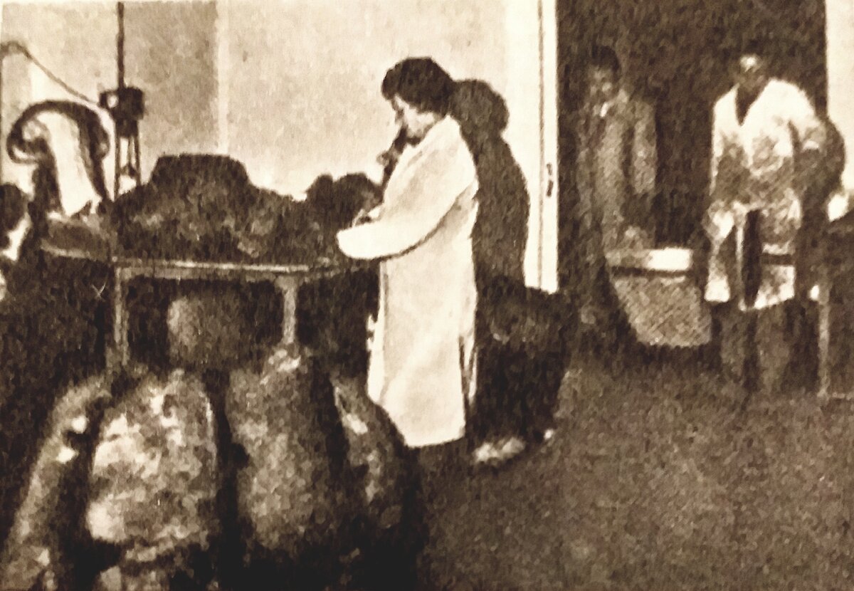 Источник "Техника молодёжи - 2" 1965 г.