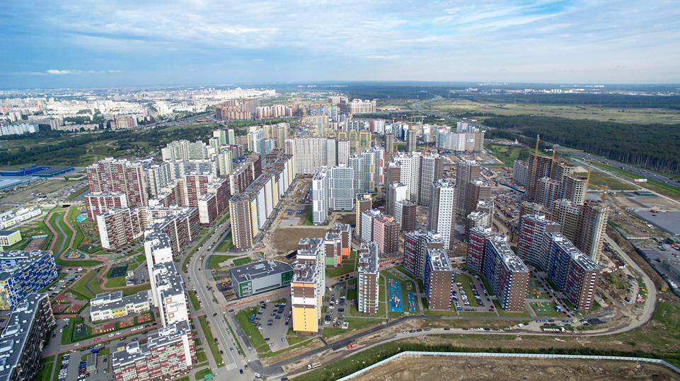 Фото Яндекс картинки. 