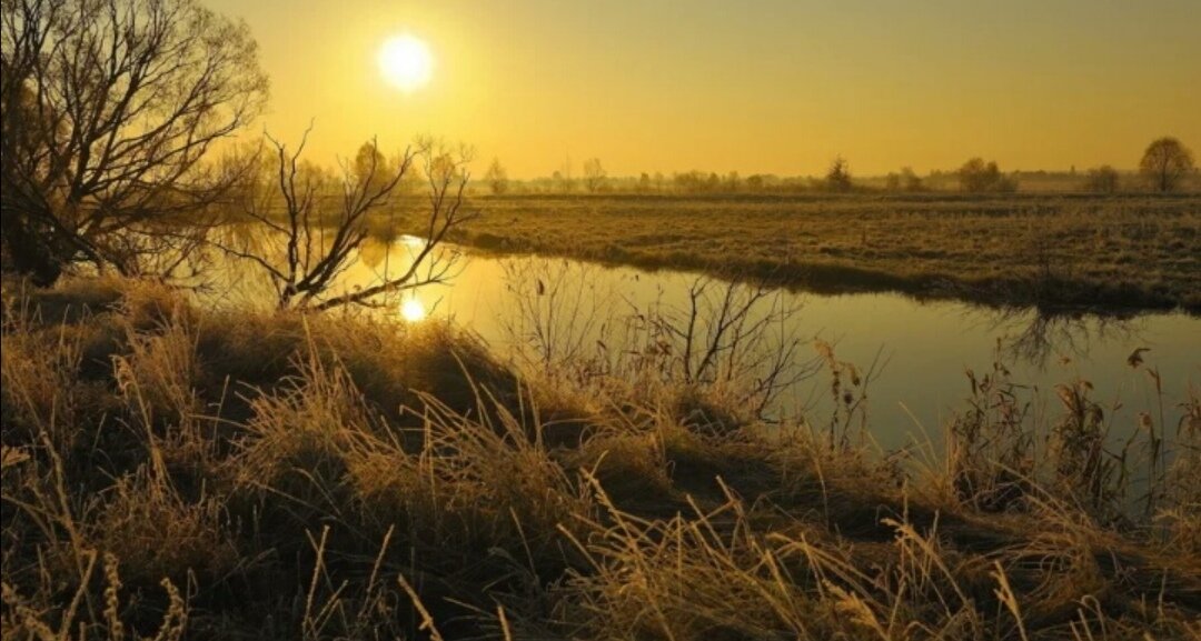 Фото из интернета. 