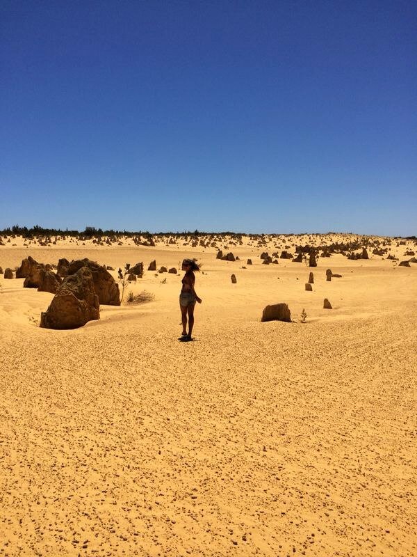 Источник: Яндекс Картинки.