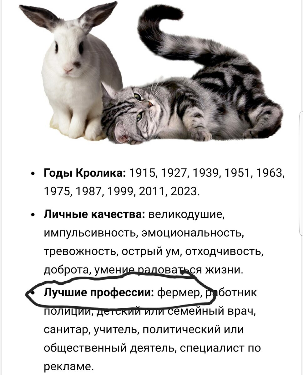 Тут без вариантов было) Хотя общественный деятель можно еще попробовать))