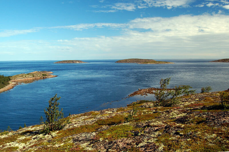 Онега море. Онежская губа белого моря. Двинская губа белого моря. Онежская губа, Двинская губа,. Нечаева губа белое море.