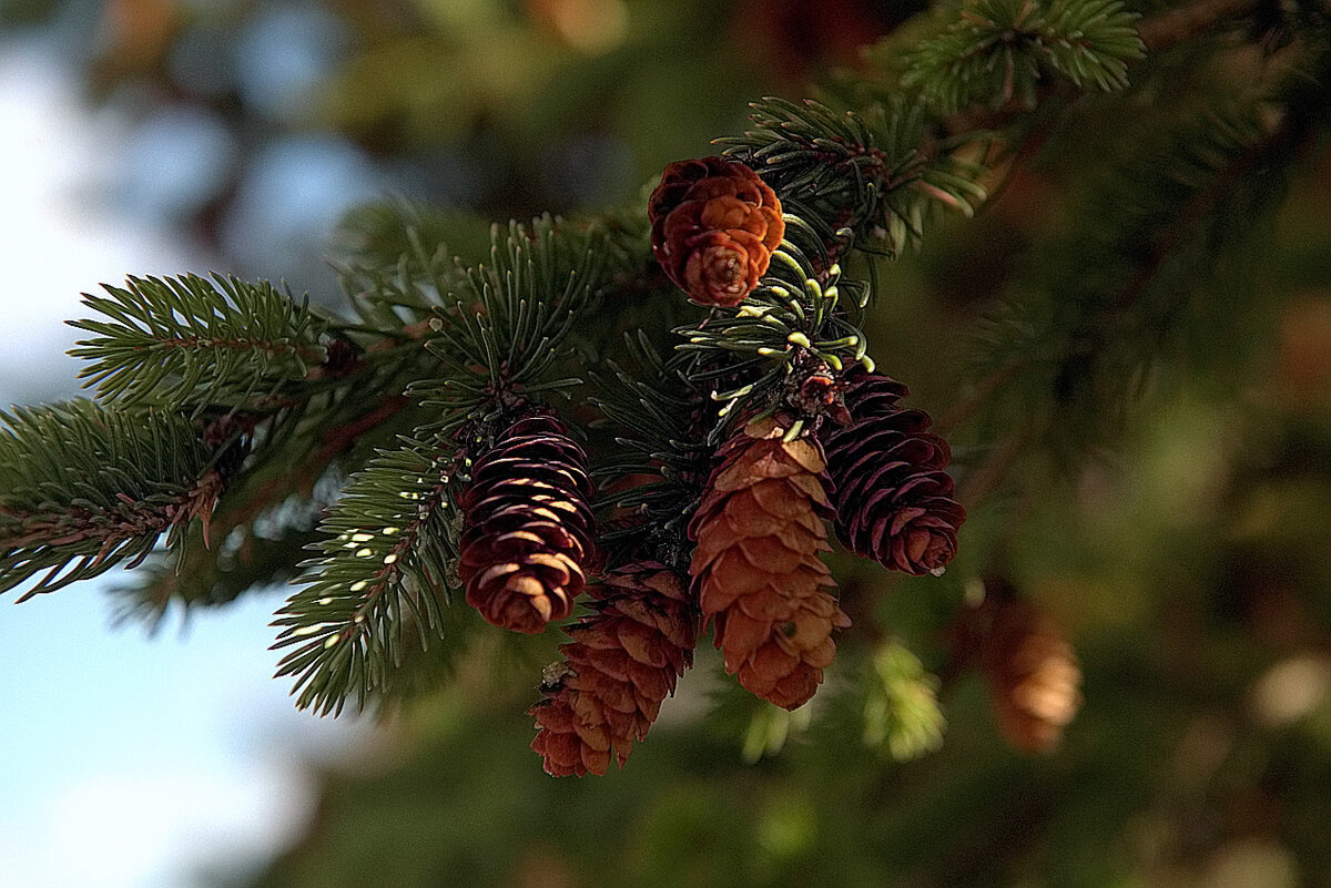 Автор фотографии Michael G