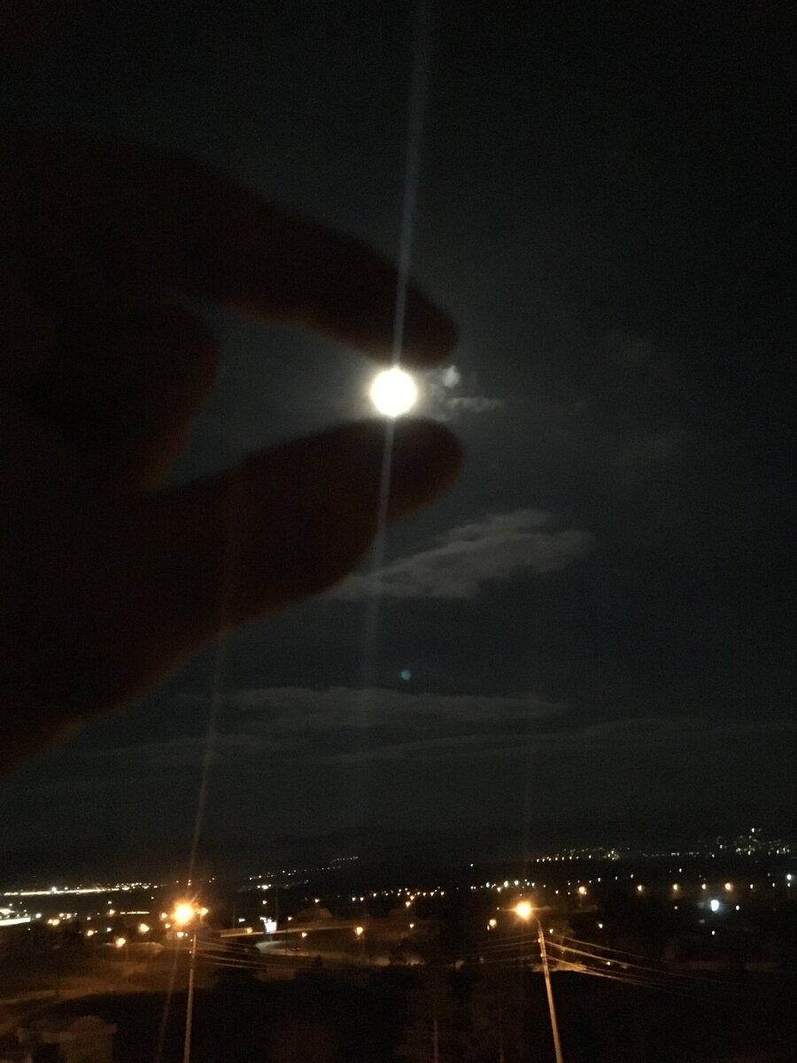 Поймал полную луну