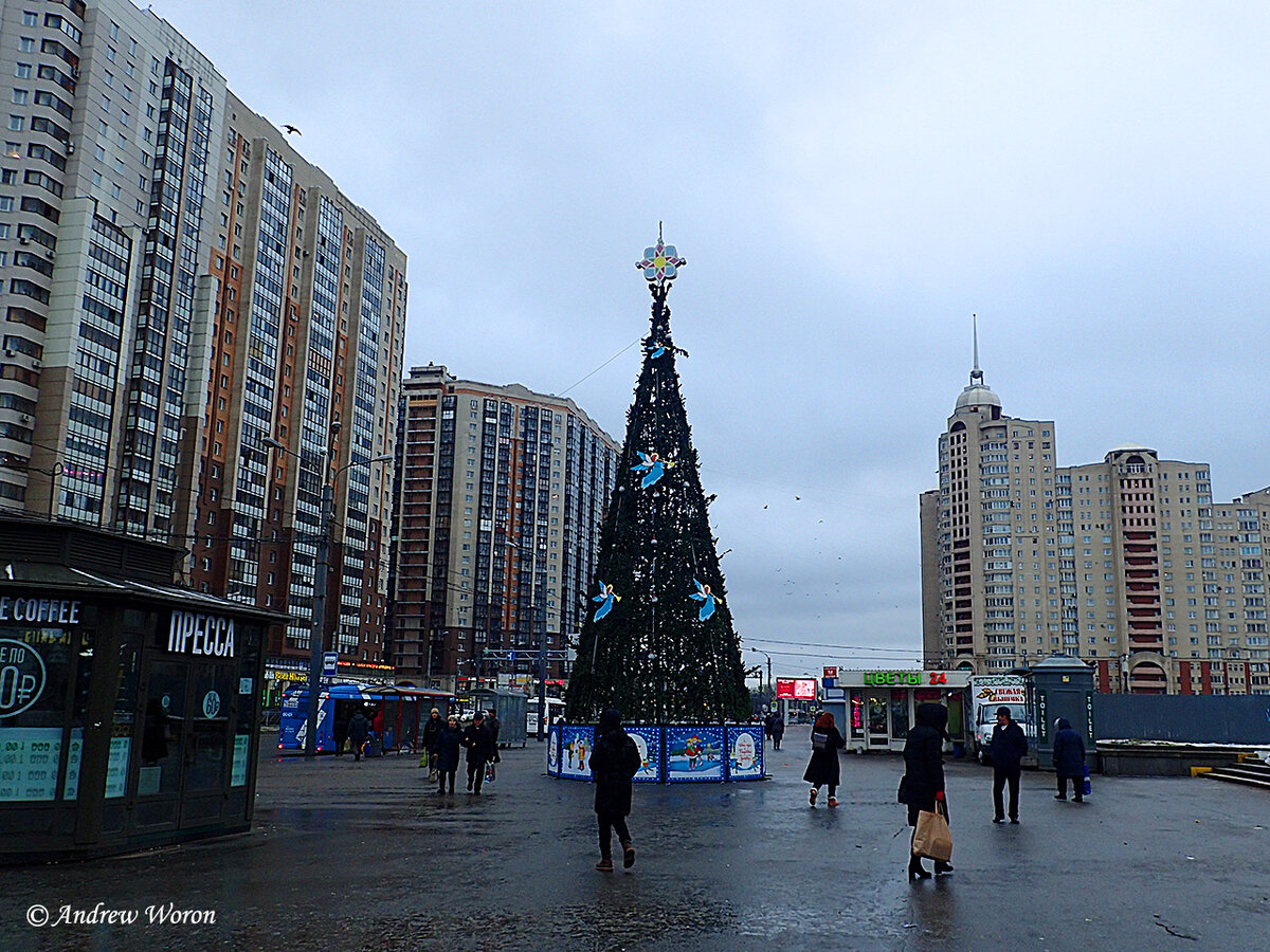 Елка у станции метро Пионерская