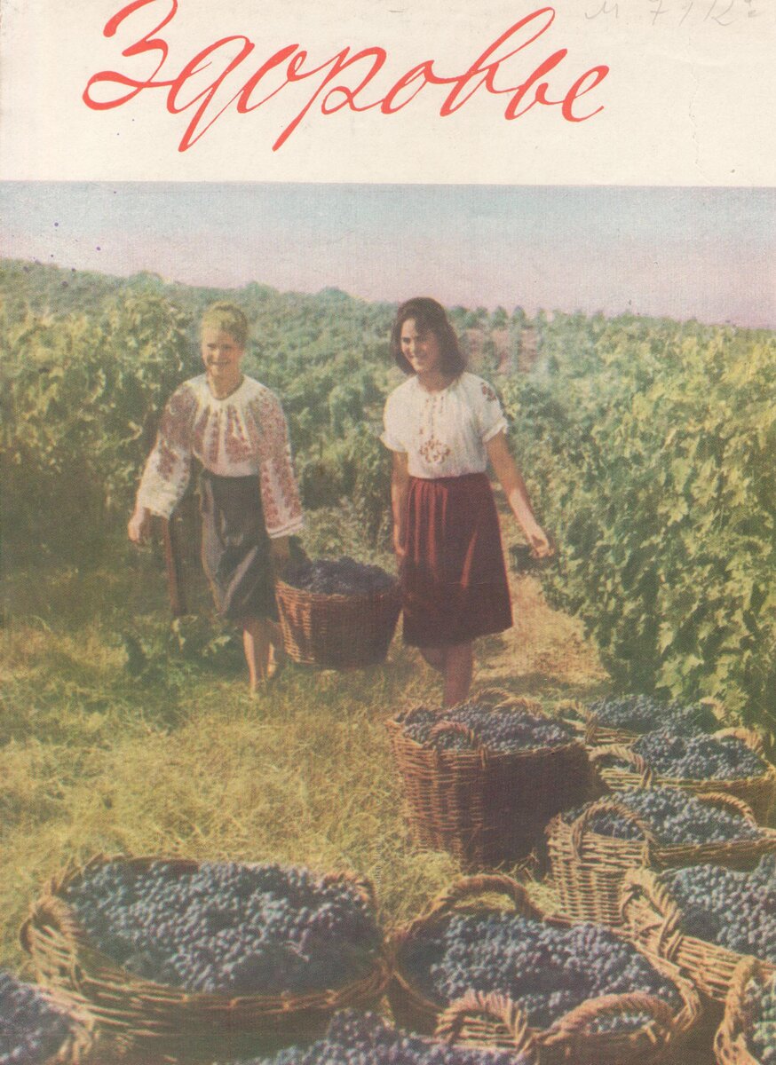 там цыганки-молдованки собирают виноград! личный архив