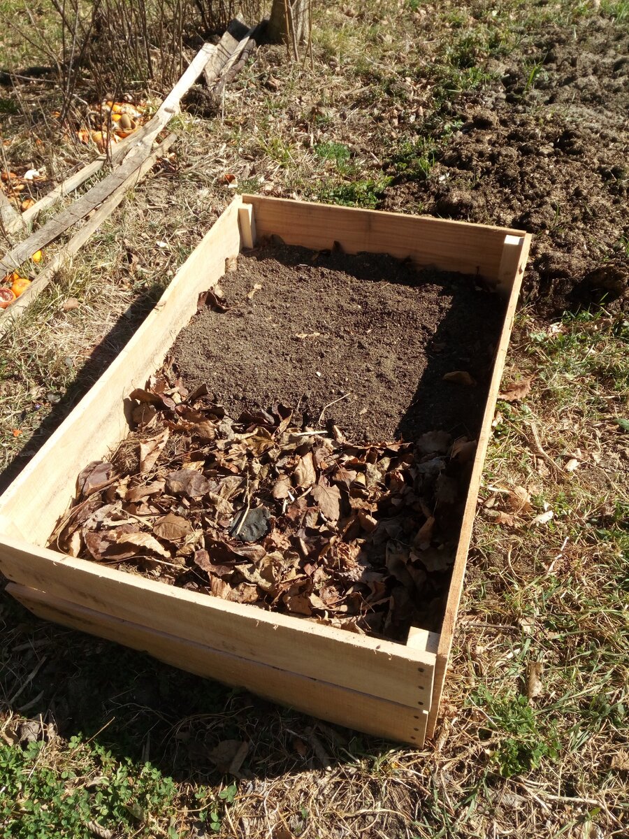 Уложила листья, немного сена.