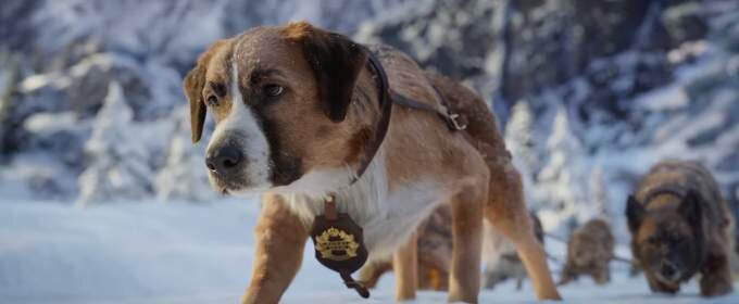 На старт, внимание... Фарш! Пора обедать