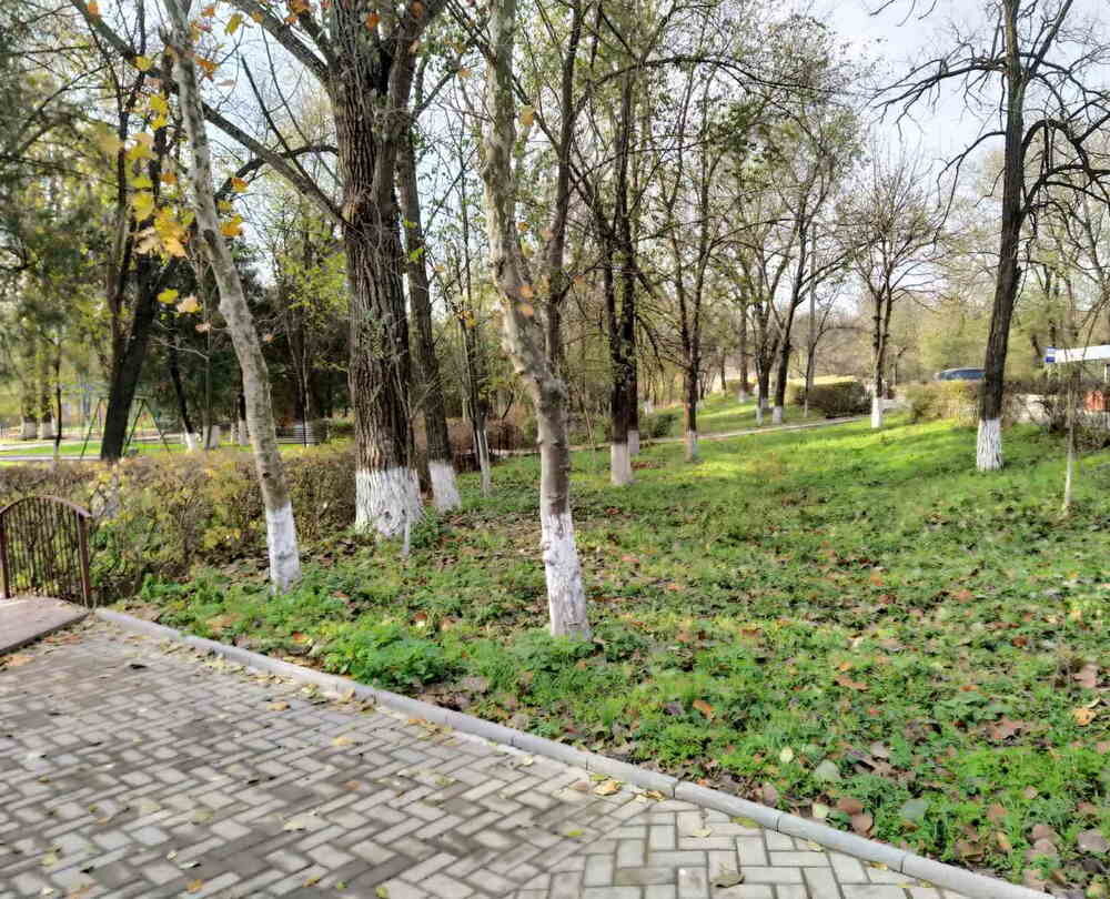 Обряд избавления от бедности Авторское фото