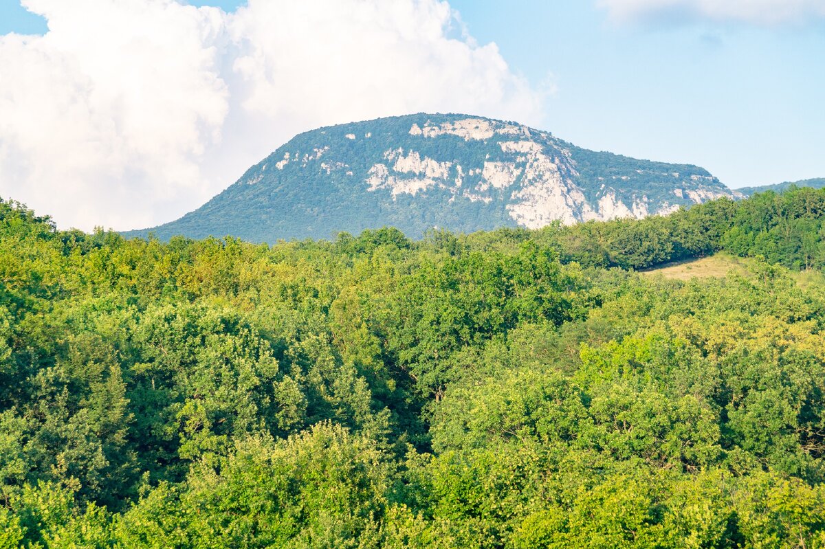 Массив Бойко в Крыму