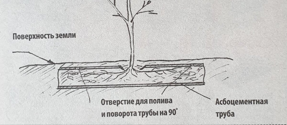 Фото из сети.У меня нарисовано хуже. Отверстий я делала  около десяти. Корни нуждаются в кислороде.