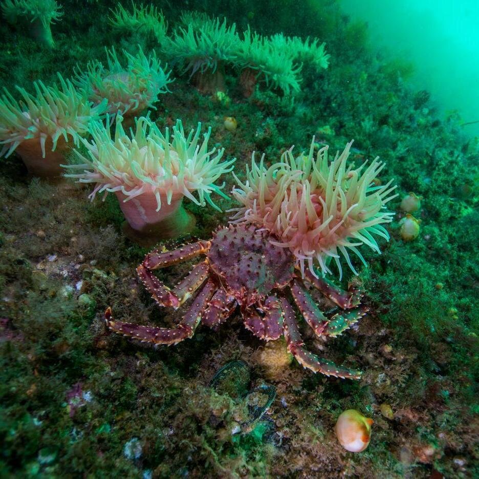 Фото Марины Медведевой