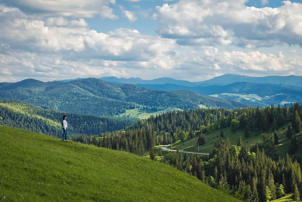 Гора Буковина Карпаты