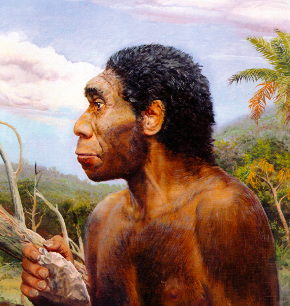 Не факт, что абсолютно точная, но красочная реконструкция внешнего вида Homo Erectus. Иллюстрацию «украл» с сайта https://poisk-strasti.ru/ 