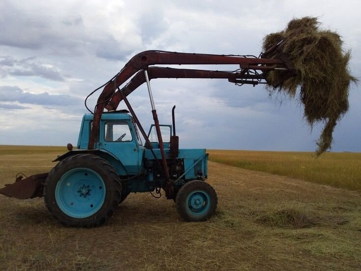 Фото из Яндекс Картинок