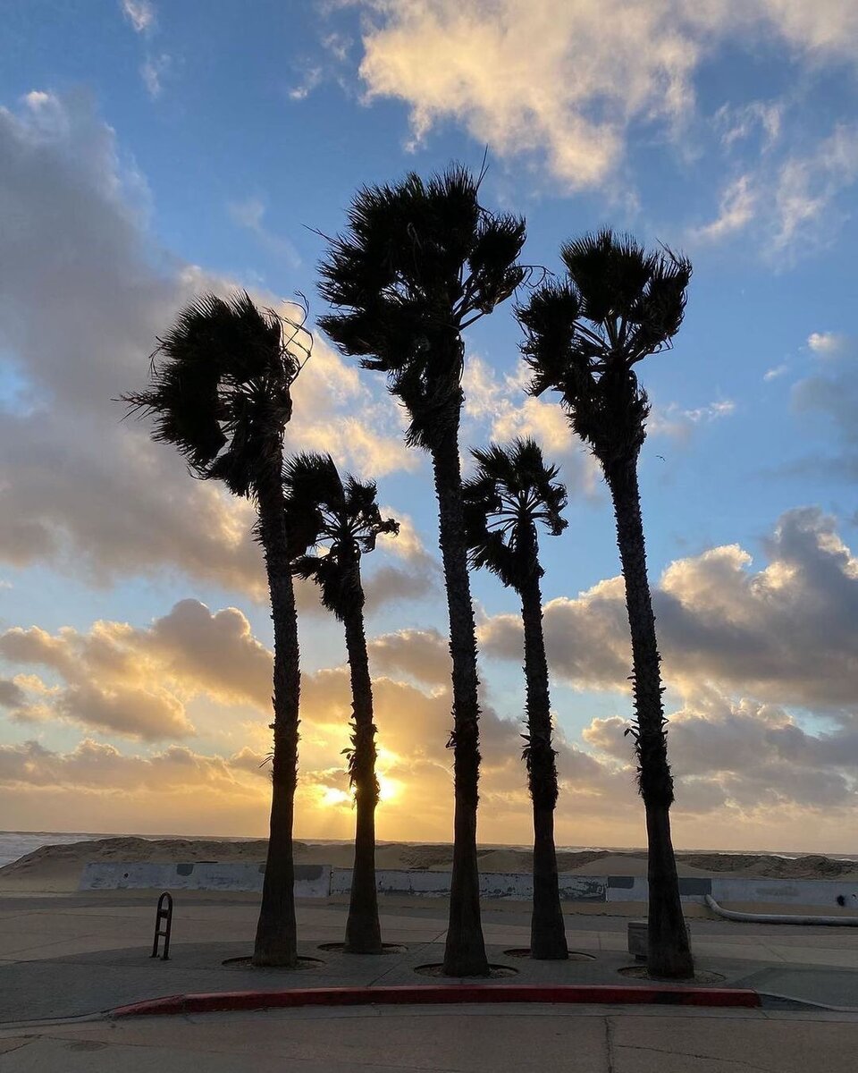 Путешествия, Калифорния, США, Америка