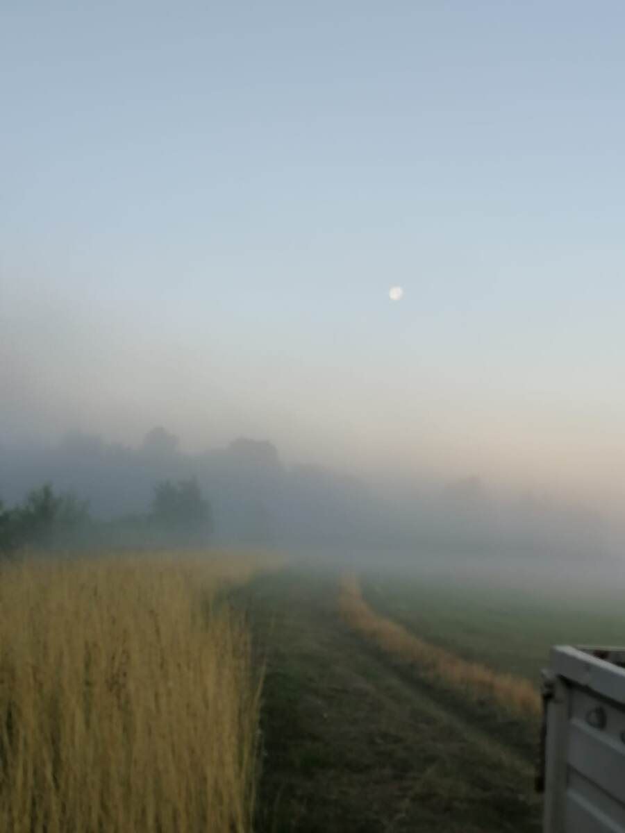 Лучше гулять, чем просто жевать жвачку:)