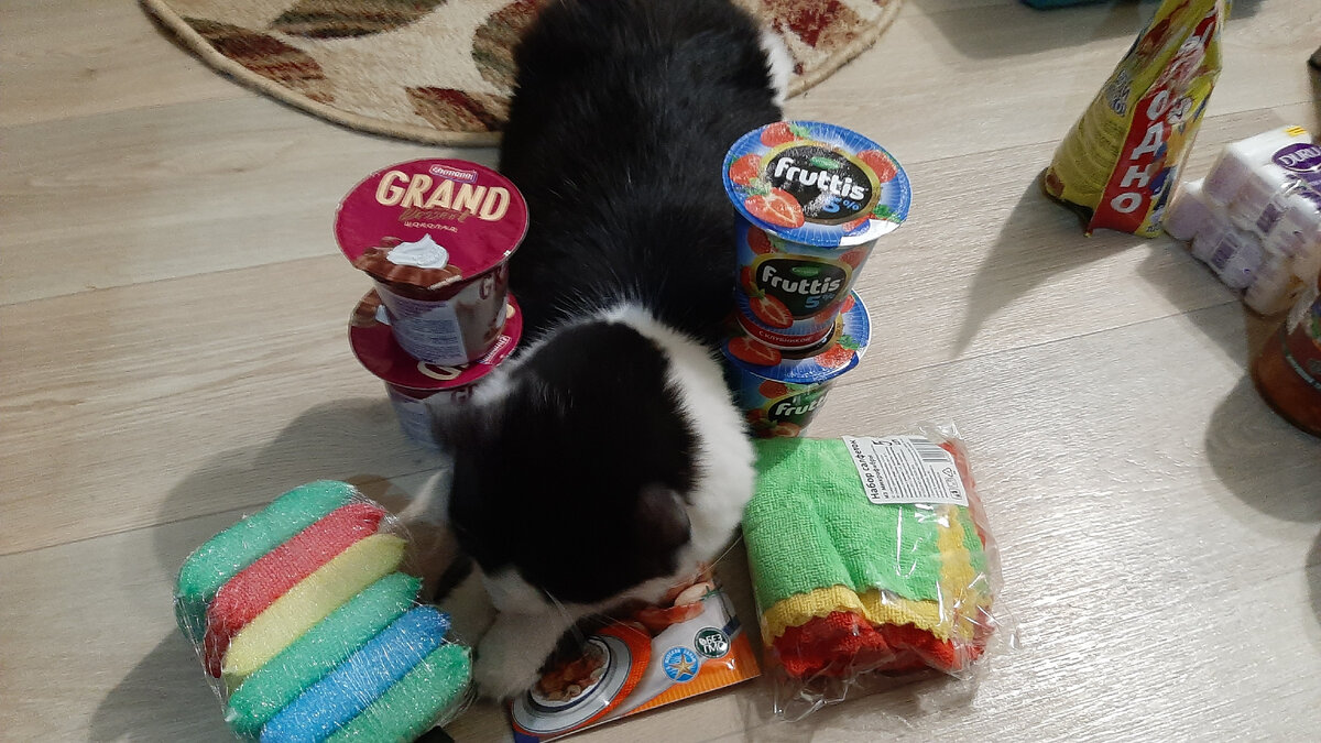 Очень понравились коту губки...