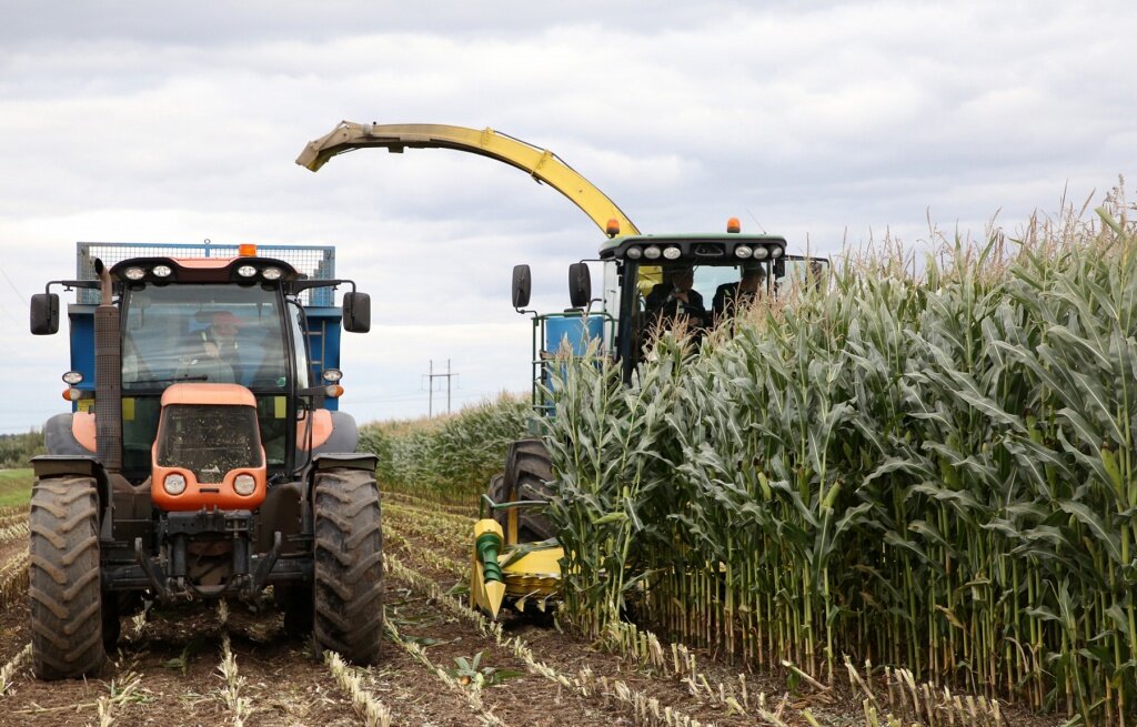 В Тверской области к началу октября аграрии собрали три четверти урожая