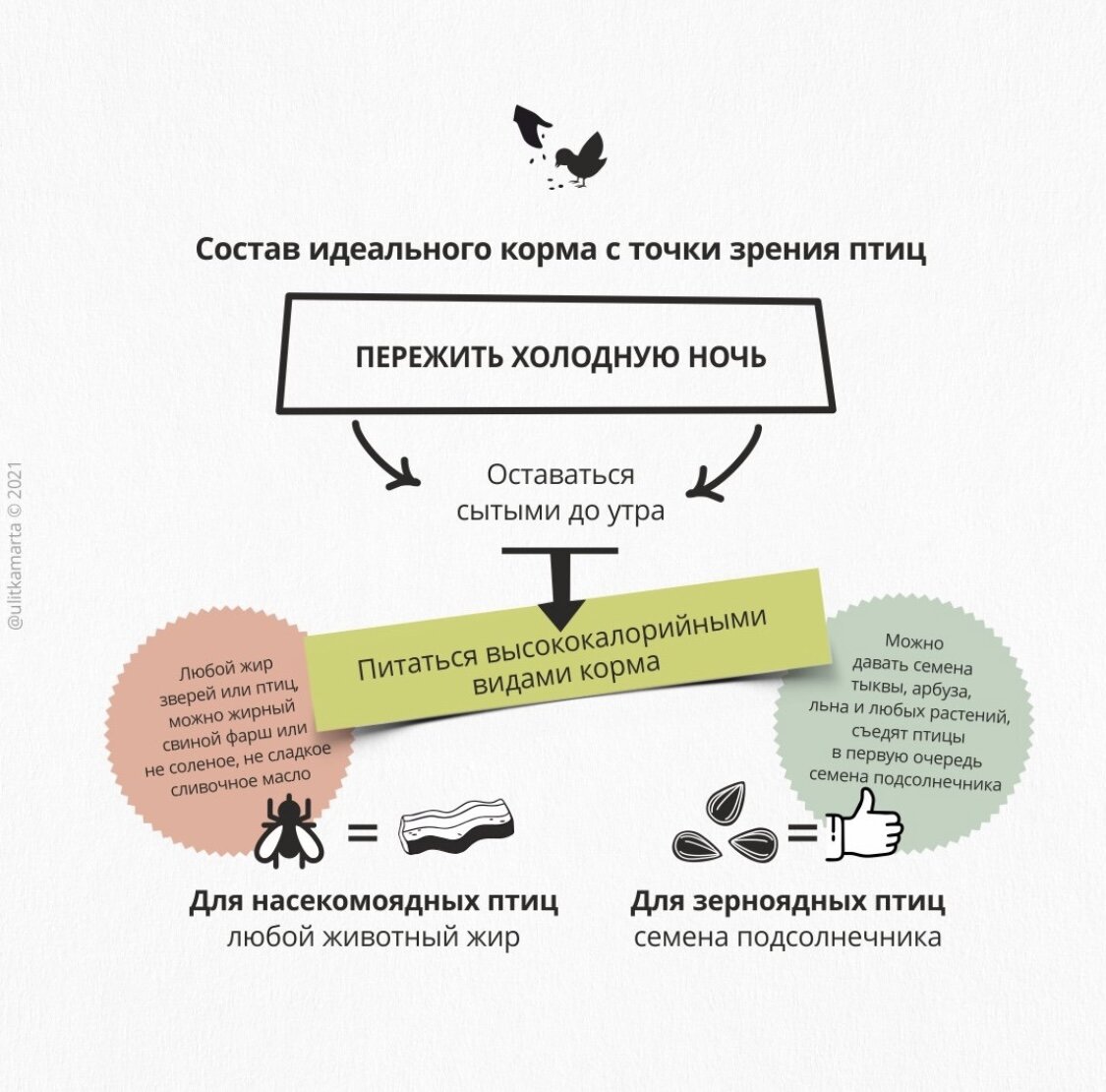 Фото: Инстаграм-аккаунт @ulitkamarta
