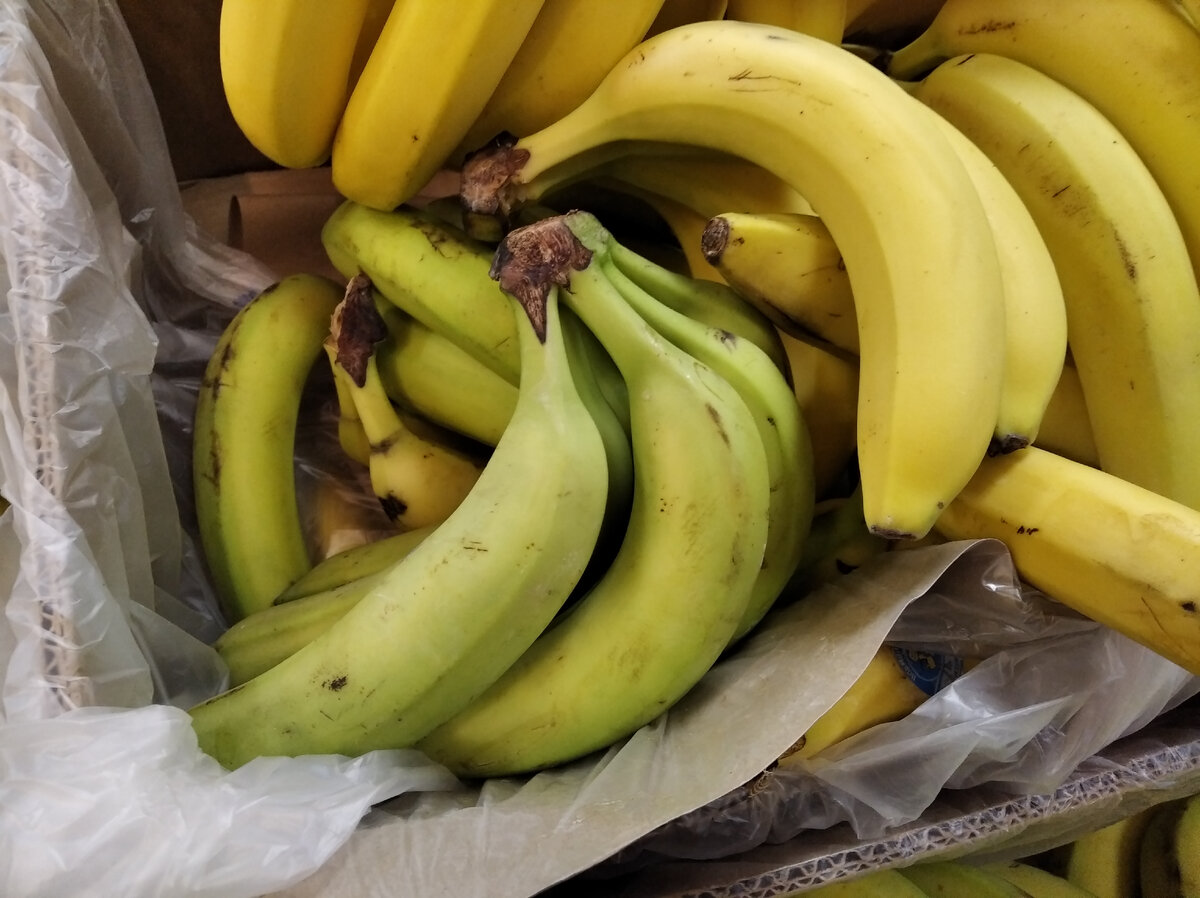 Фото из архива автора