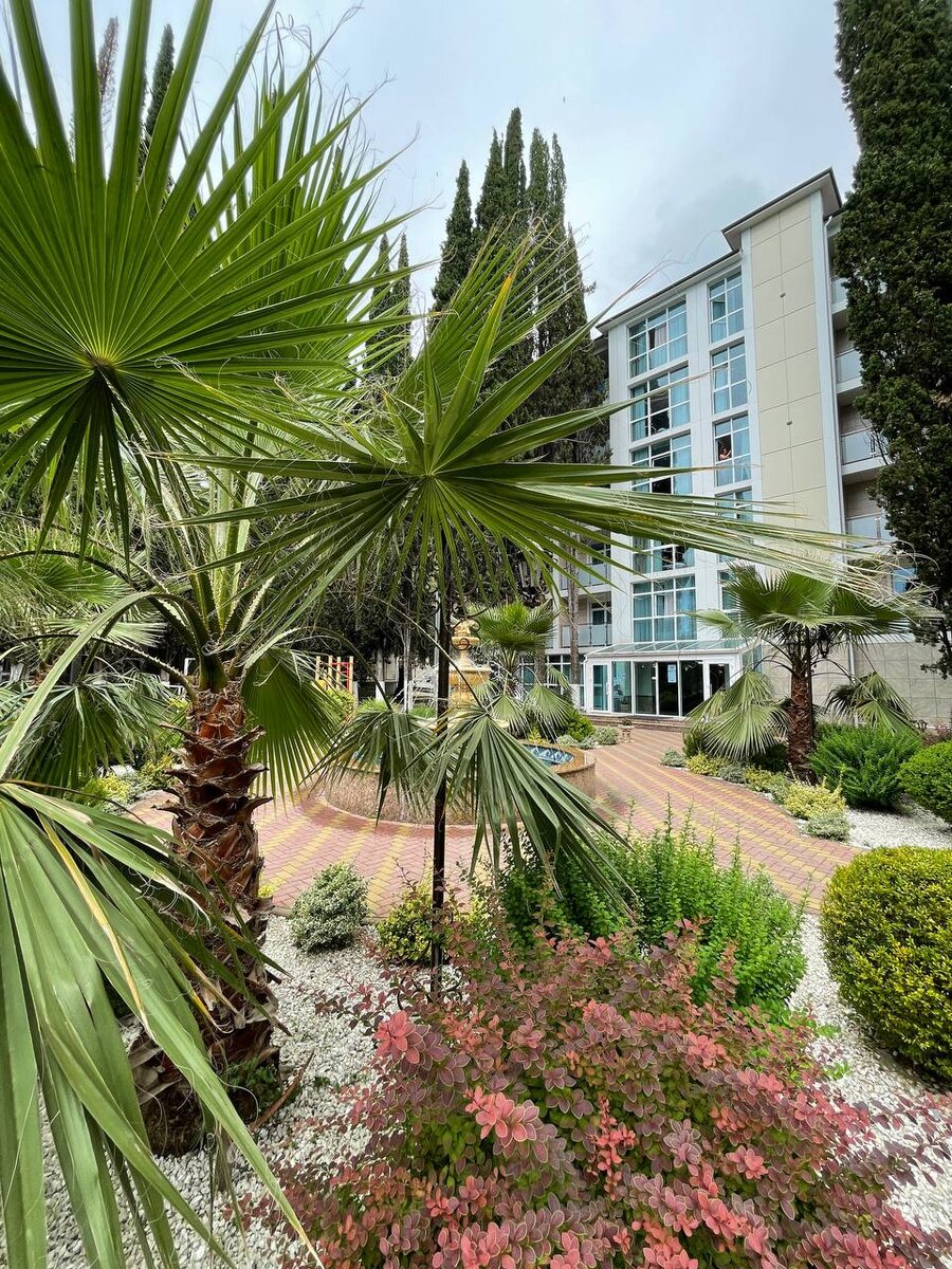 Абхазия Гагры отель Челюскинцев travel-tur-live.com