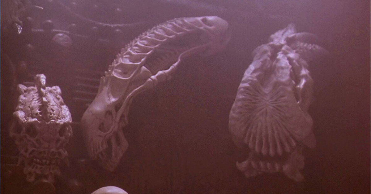 Тот самый кадр из  «Хищника 2»