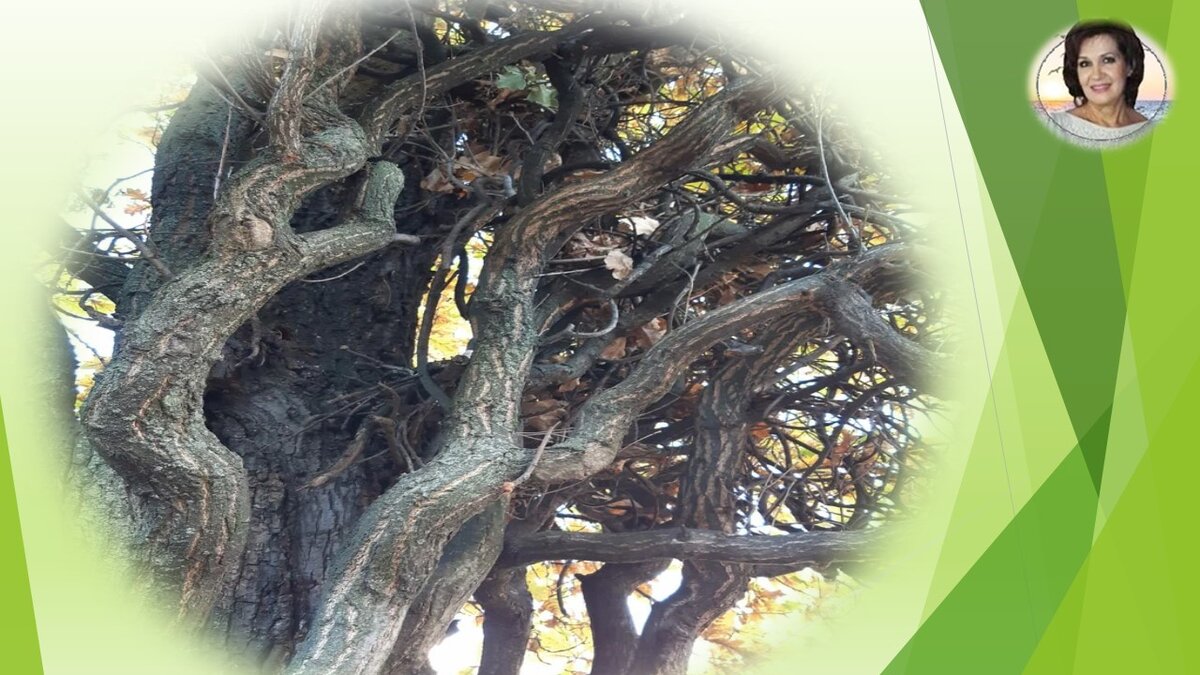 ПОДПИСКОЙ, ОТКЛИКОМ, РЕПОСТОМ ВЫ поддержите развитие канала. СПАСИБО!!!