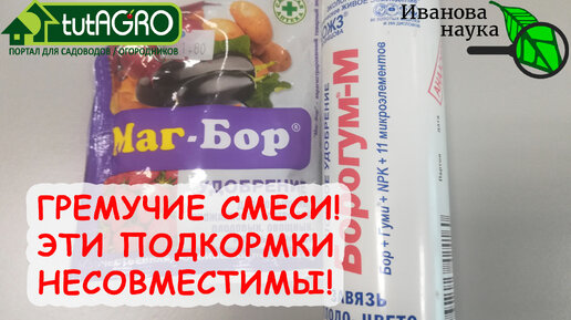 Собрались подкармливать ТОМАТЫ и ОГУРЦЫ? ВОТ популярные подкормки, КОТОРЫЕ НЕ СОВМЕСТИМЫ!