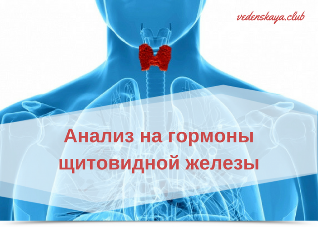 Сколько делают анализы щитовидной железы. Анализы щитовидной железы. Анализы на щитовидную железу. Гормоны на щитовидную железу.