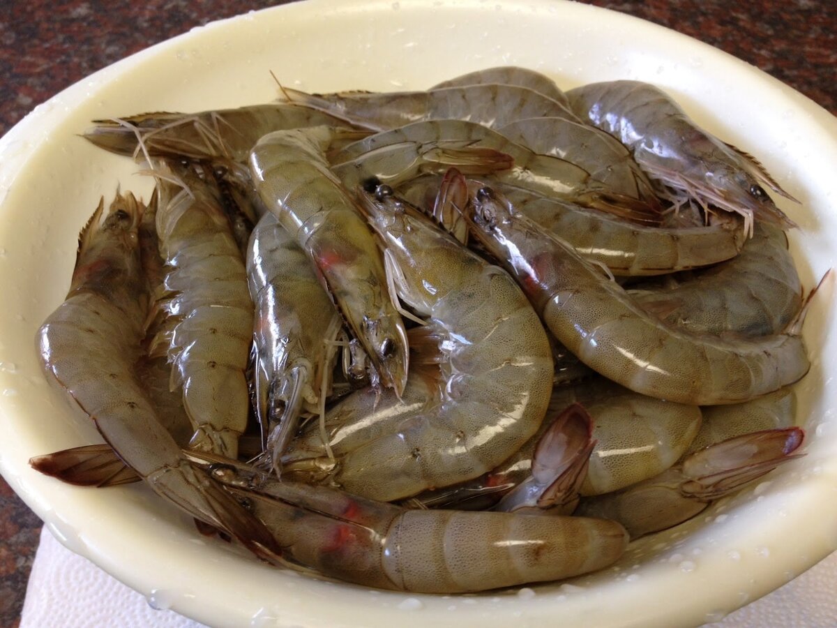 Самые свежие рецепты для Вас!