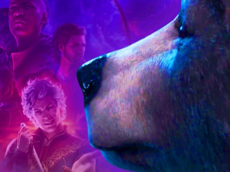    Сына главы Larian Studios троллят из-за сцены с медведем в Baldur’s Gate III