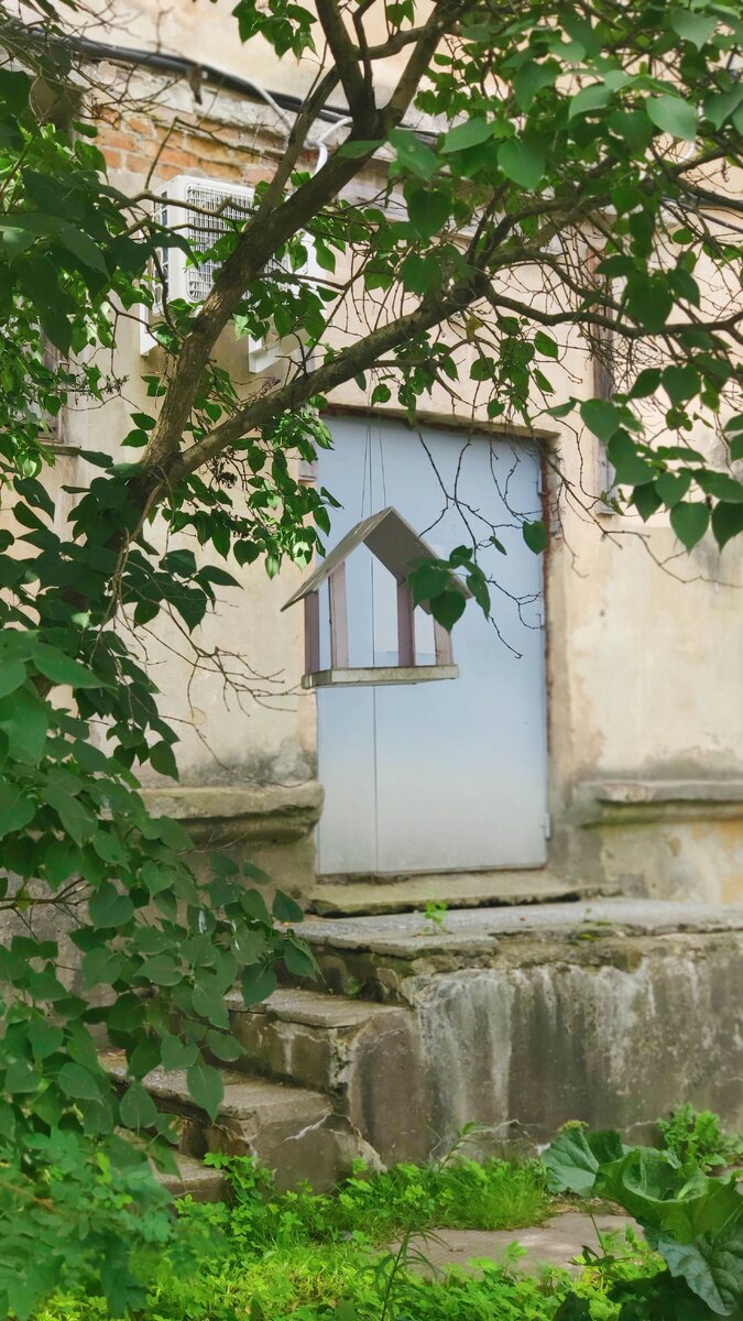 Петрозаводский дворик