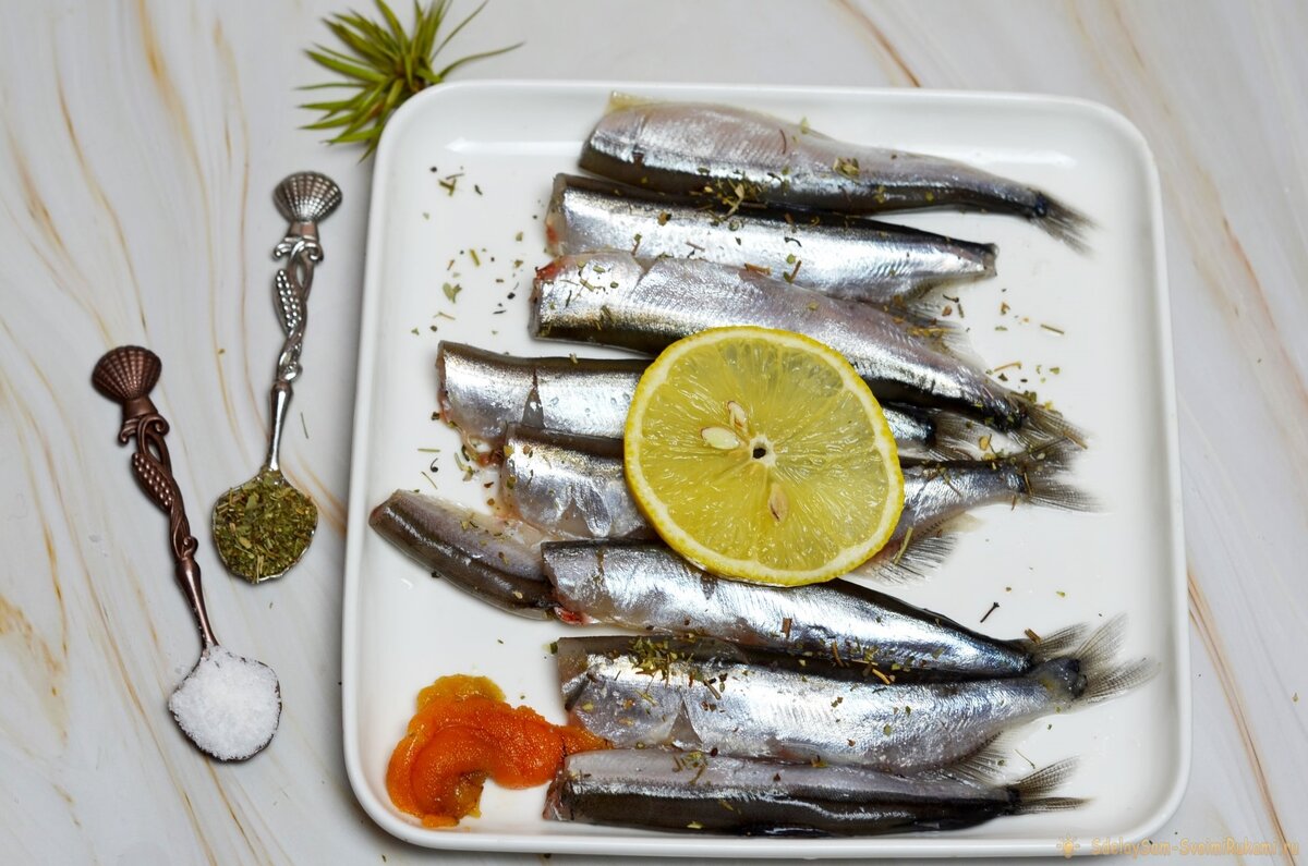 Самые свежие рецепты для Вас!