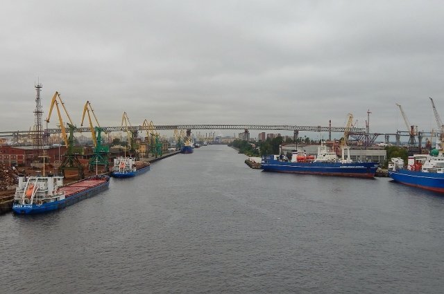    Почему суд оправдал картель, который возил наркотики в Петербург?