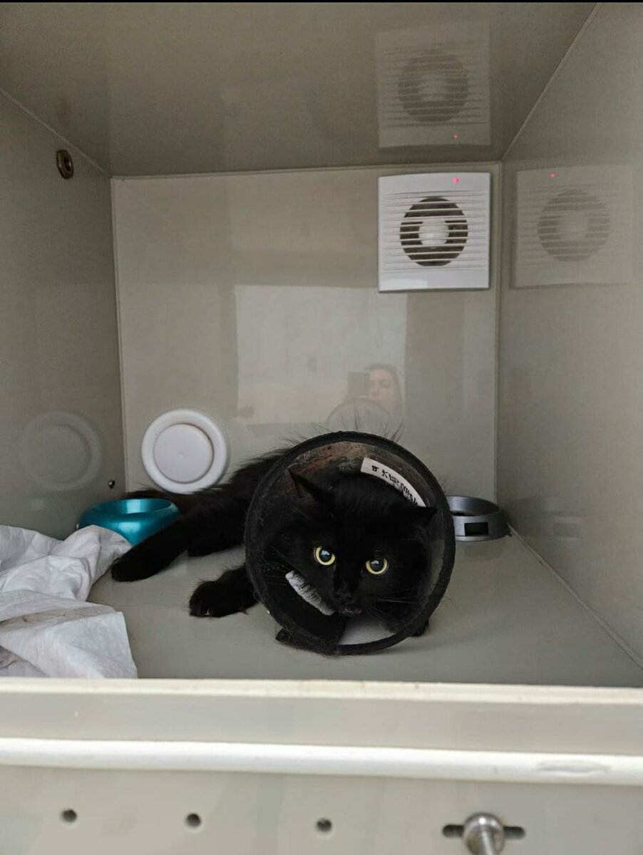 Кто несет ответственность?