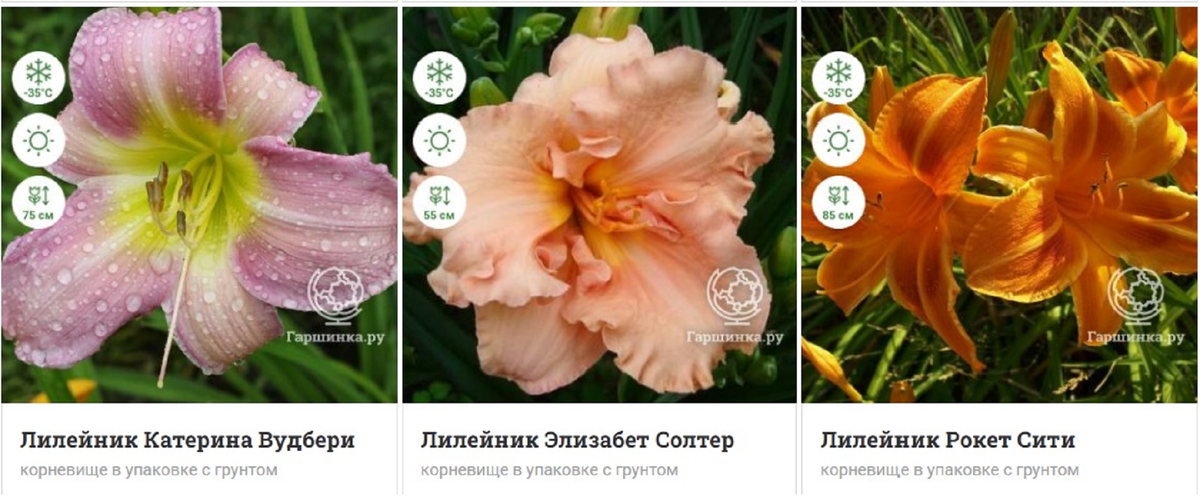 Вот такие должны были быть