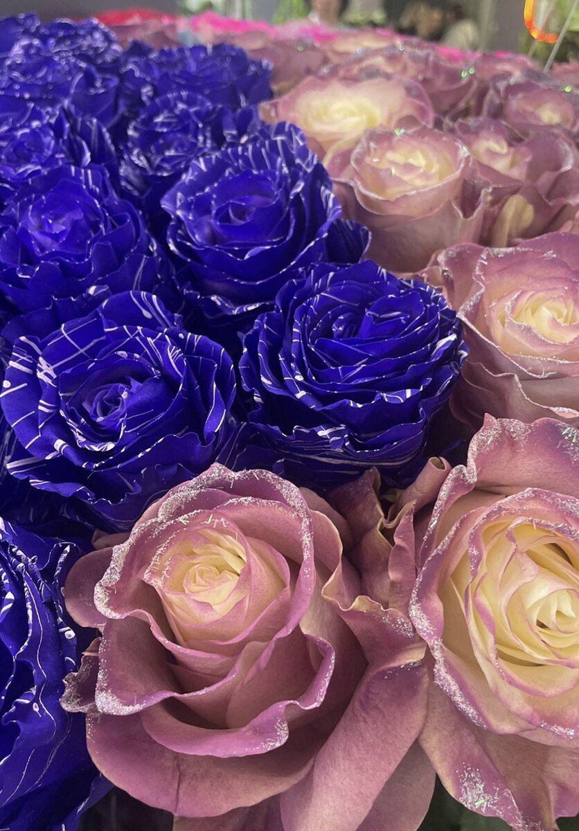 Крашеные розы