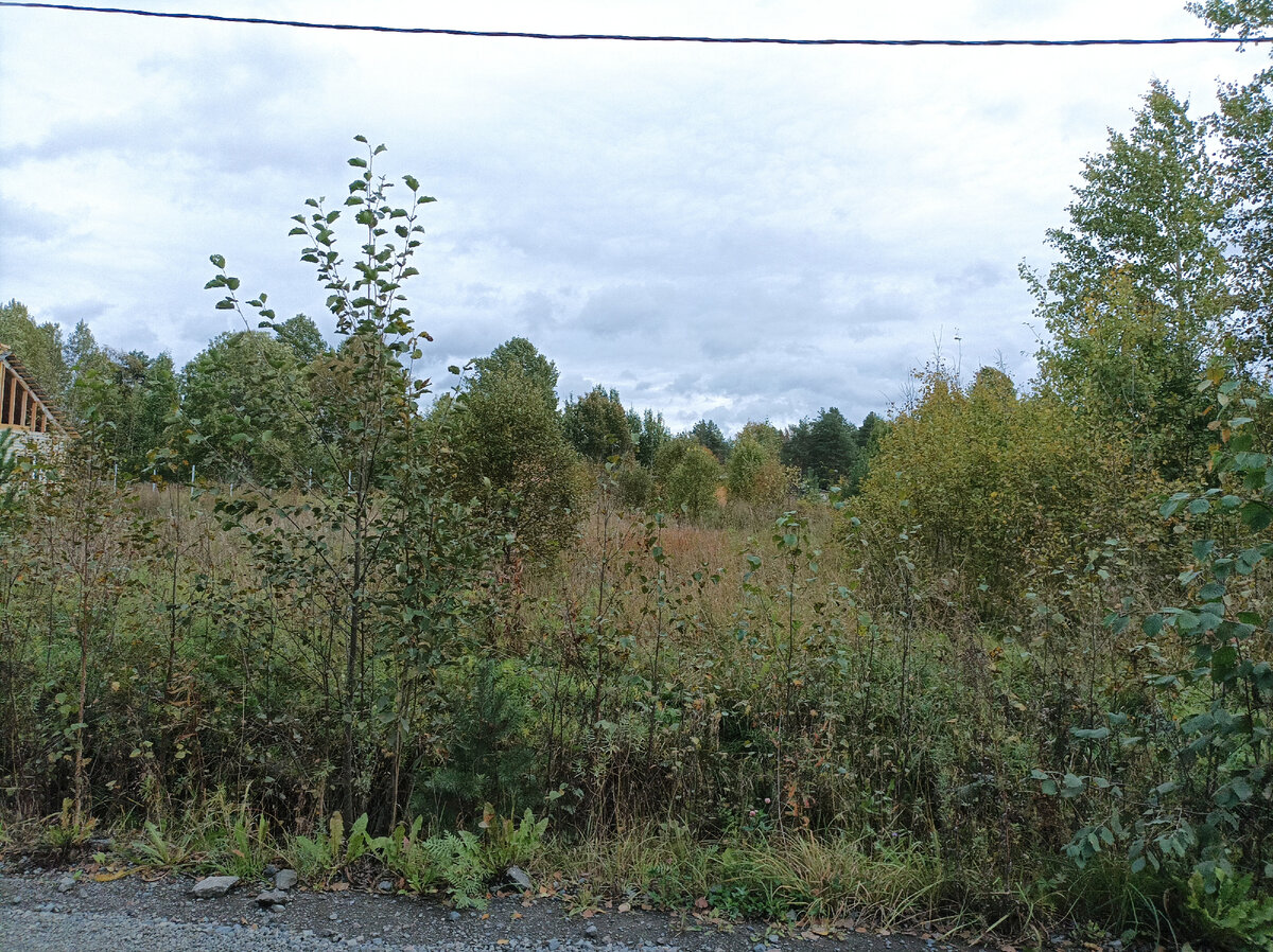 Где-то в полях... 