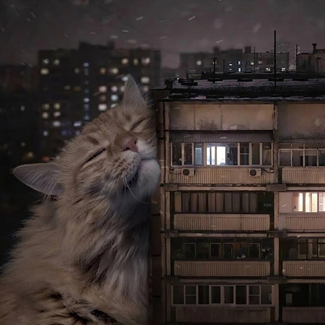 иллюстрация из яндекс картинки.