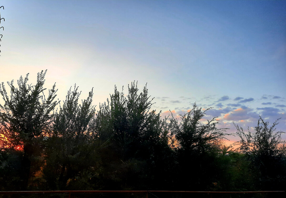 Утром сделала фото рассвета