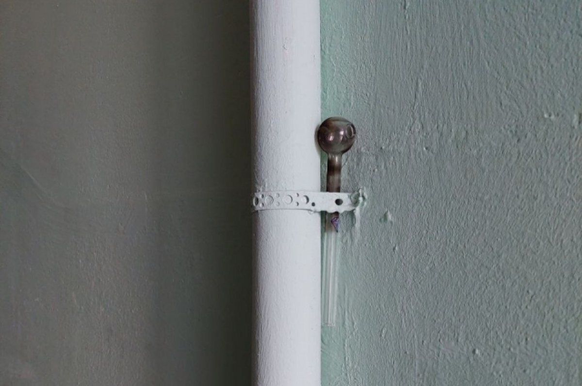    Полиция задержала петербургского подростка, «начинённого» наркотиками