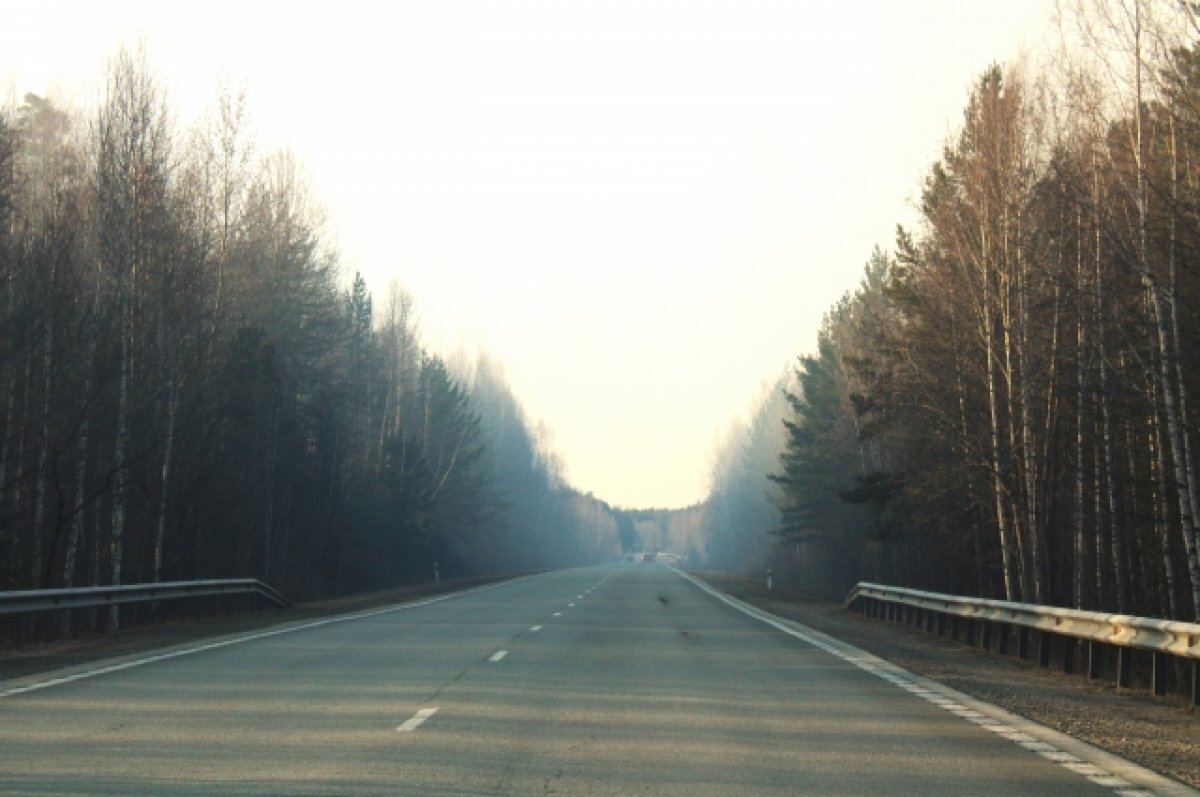    Почти три десятка лесных пожаров действуют в Свердловской области